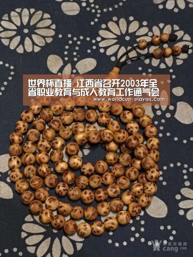 世界杯直播_江西省召开2003年全省职业教育与成人教育工作通气会