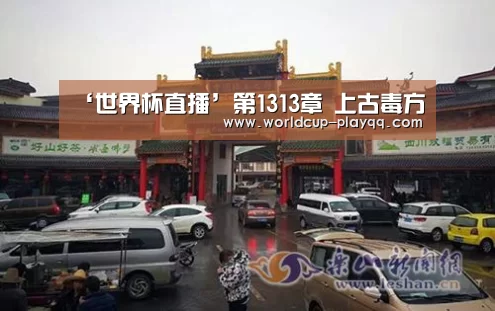 世界杯直播